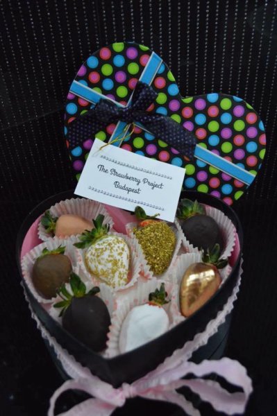 14581538_539443392916764_7658873936028396912_n