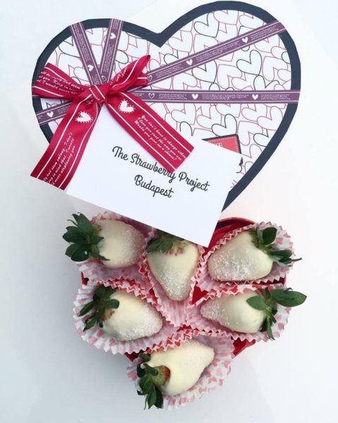 15965807_581595032034933_3305340015856927564_n