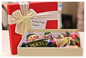 16473197_594592310735205_4651087557923398417_n