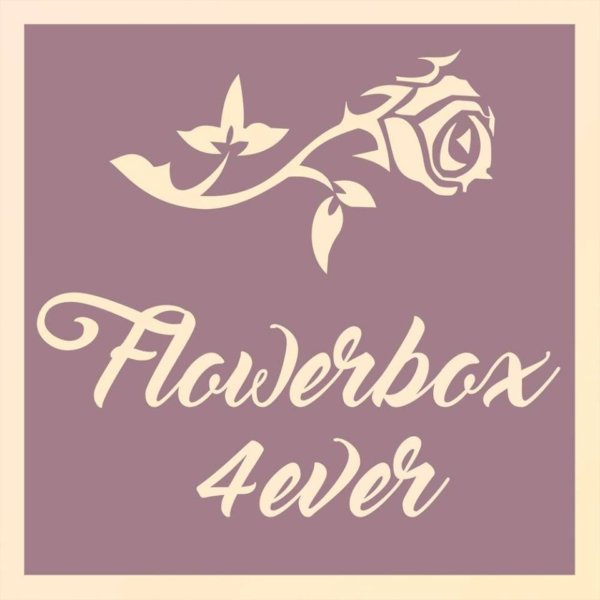 17190498_1104080289737824_4866322709574663015_n