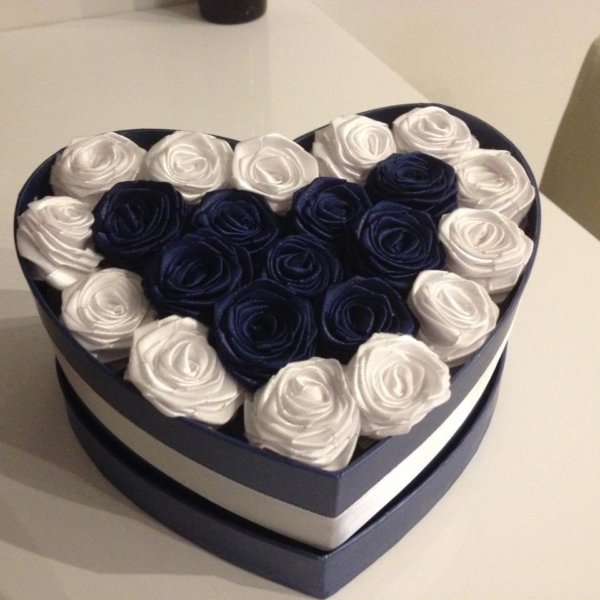 18199091_1142031315942721_7054507079665995978_n