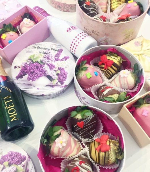 18268482_632646636929772_4269111471340464115_n