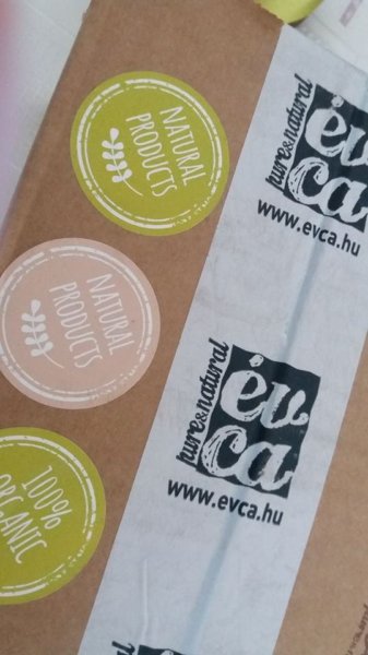 18337499_1883945588547940_526713872_n