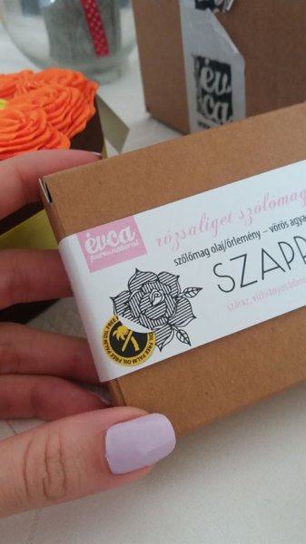 18360901_1883945435214622_13913325_n