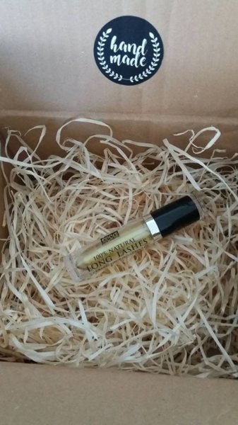 18361176_1883944685214697_905598490_n