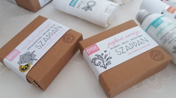 18386873_1883945438547955_983622028_n