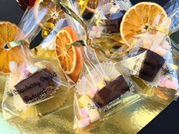 14590445_550199281841175_543870683168389186_n