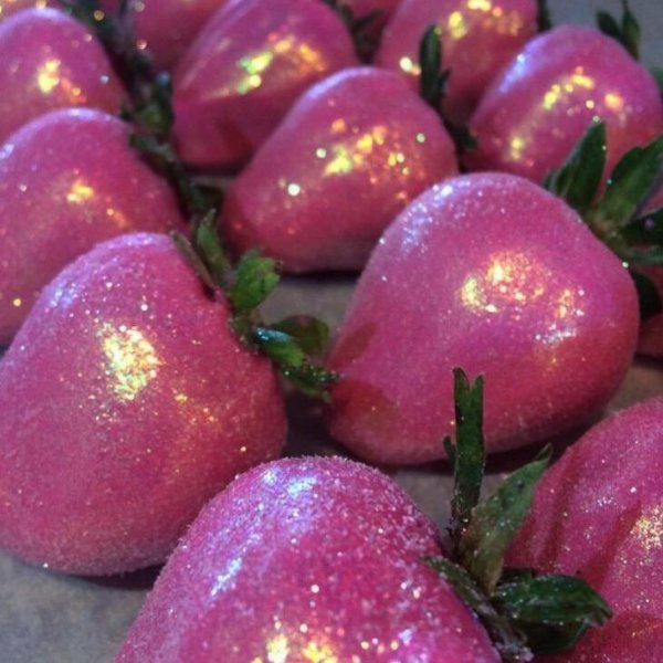 14695470_549269458600824_7168064195711074518_n