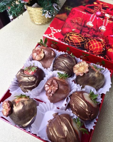 14915227_554590484735388_7073201751652154728_n