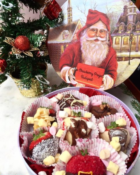 14947757_554075288120241_5326247519632175824_n