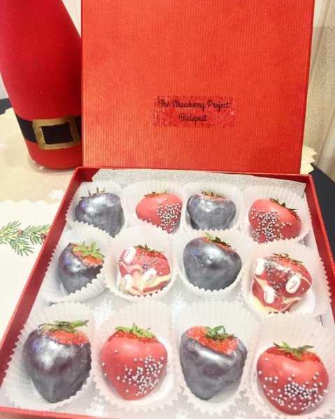 15032051_559118107615959_3657787917558950376_n