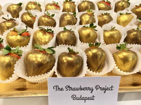 15181536_559878874206549_679856700065892633_n