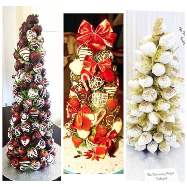 15338798_568483040012799_3545456764550151386_n