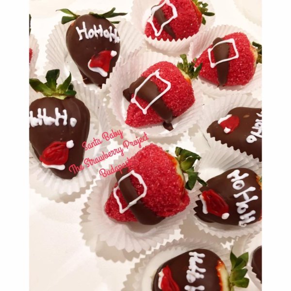 15350634_566661676861602_3029475161999994629_n