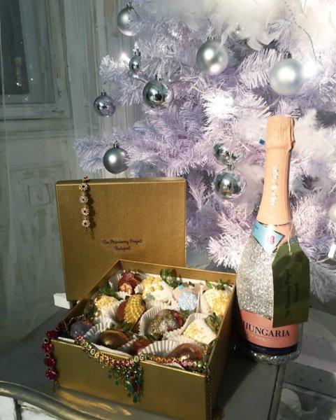 15541413_571880916339678_1536825648098390317_n