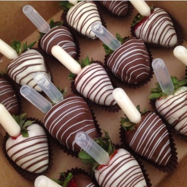 20046360_668200273374408_4619609850764985876_n