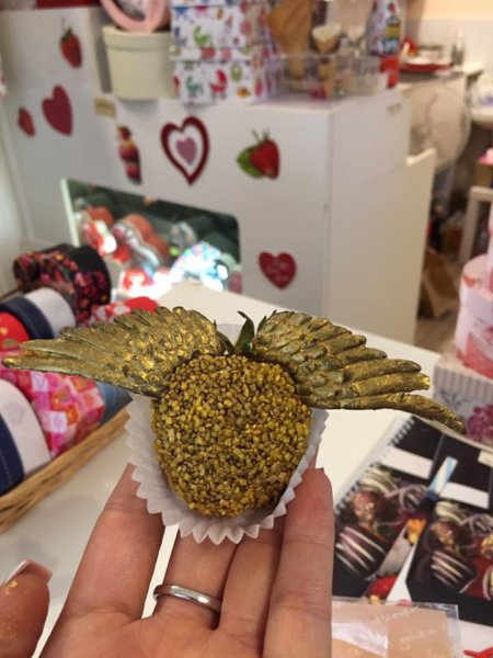 21558791_695290750665360_8790972250155310352_n