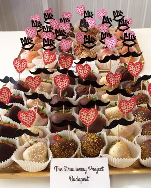 22089142_699236153604153_5273222770650167643_n