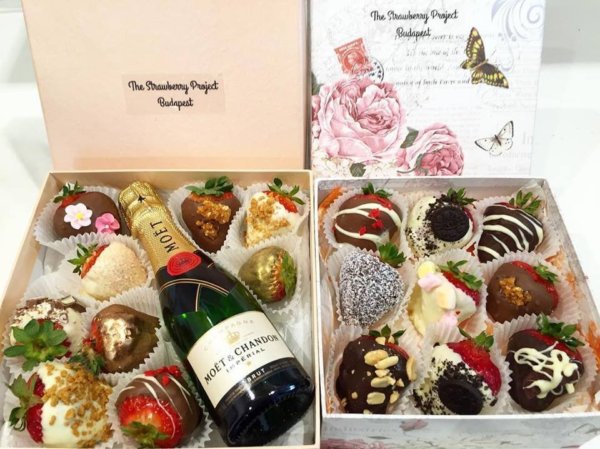 23755108_722465647947870_2237565007818599451_n