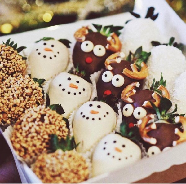 23843586_723935554467546_4406661858213760330_n