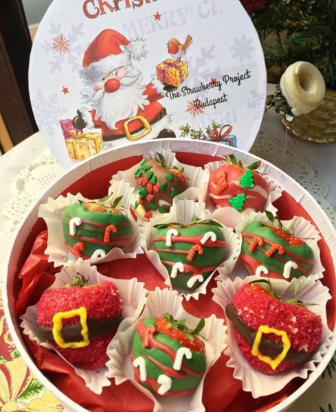 24058727_724326674428434_5983548985831303192_n