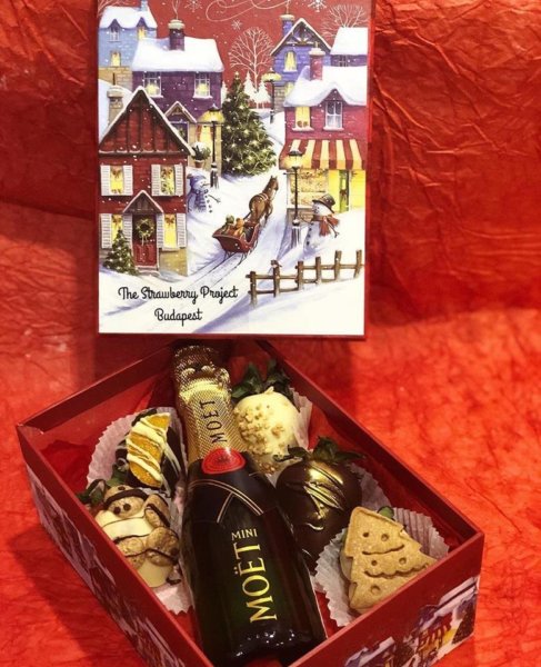 24068281_724360847758350_4109302634898598951_n