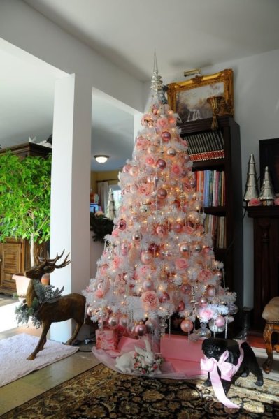 c3a7016f994f376f0a7ca8b1c752e4f2