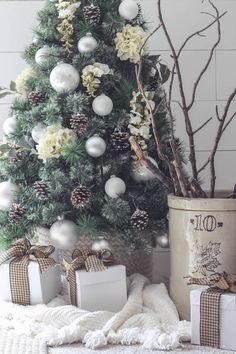 e2b2f883614d55ac8c5cef155fa6e56b