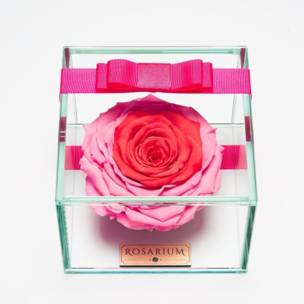 01_box_pink_kozepen_piros